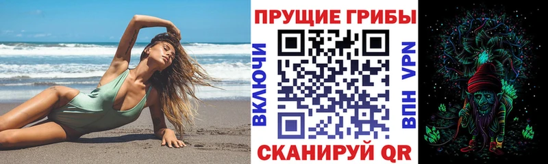 omg онион  Тамбов  Псилоцибиновые грибы GOLDEN TEACHER 