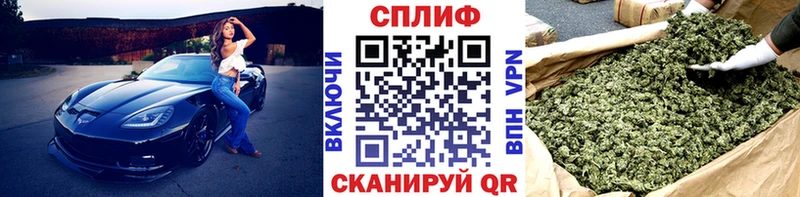 omg вход  Тамбов  МАРИХУАНА тримм 